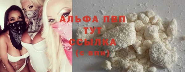 шишки Аркадак
