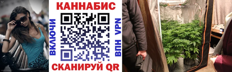 Каннабис семена  omg tor  Шацк  продажа наркотиков 